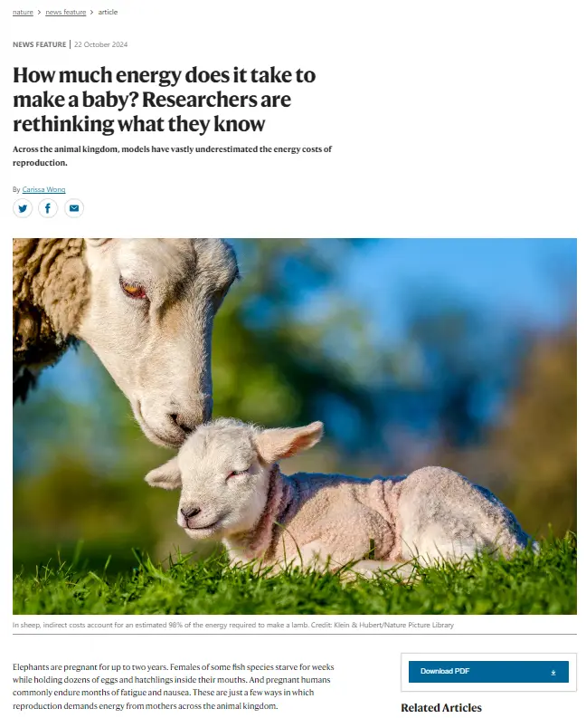 A close-up photo shows an adult sheep gently nuzzling a small, sleeping lamb on green grass. The image is overlaid with the…