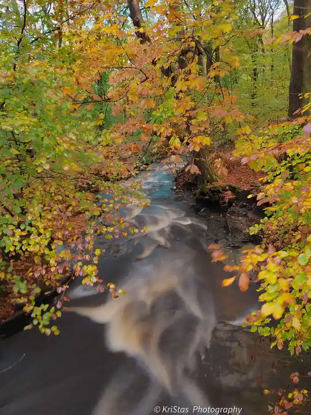 A long-exposure photograph of a forest stream surrounded by autumn foliage in shades of yellow, orange, and green. The water…