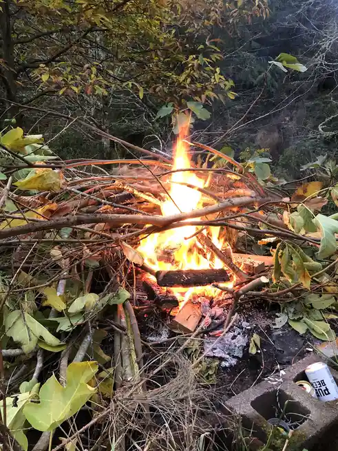 A messy, unstructured campfire made of twigs and branches burns brightly in a wooded area with autumn leaves. A beer can…