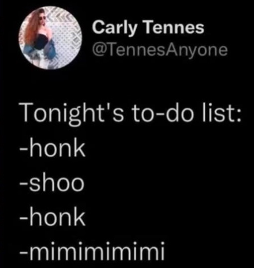 A screenshot of a tweet by Carly Tennes (@TennesAnyone) showing a to-do list with the items: honk, shoo, honk, mimimimimi…