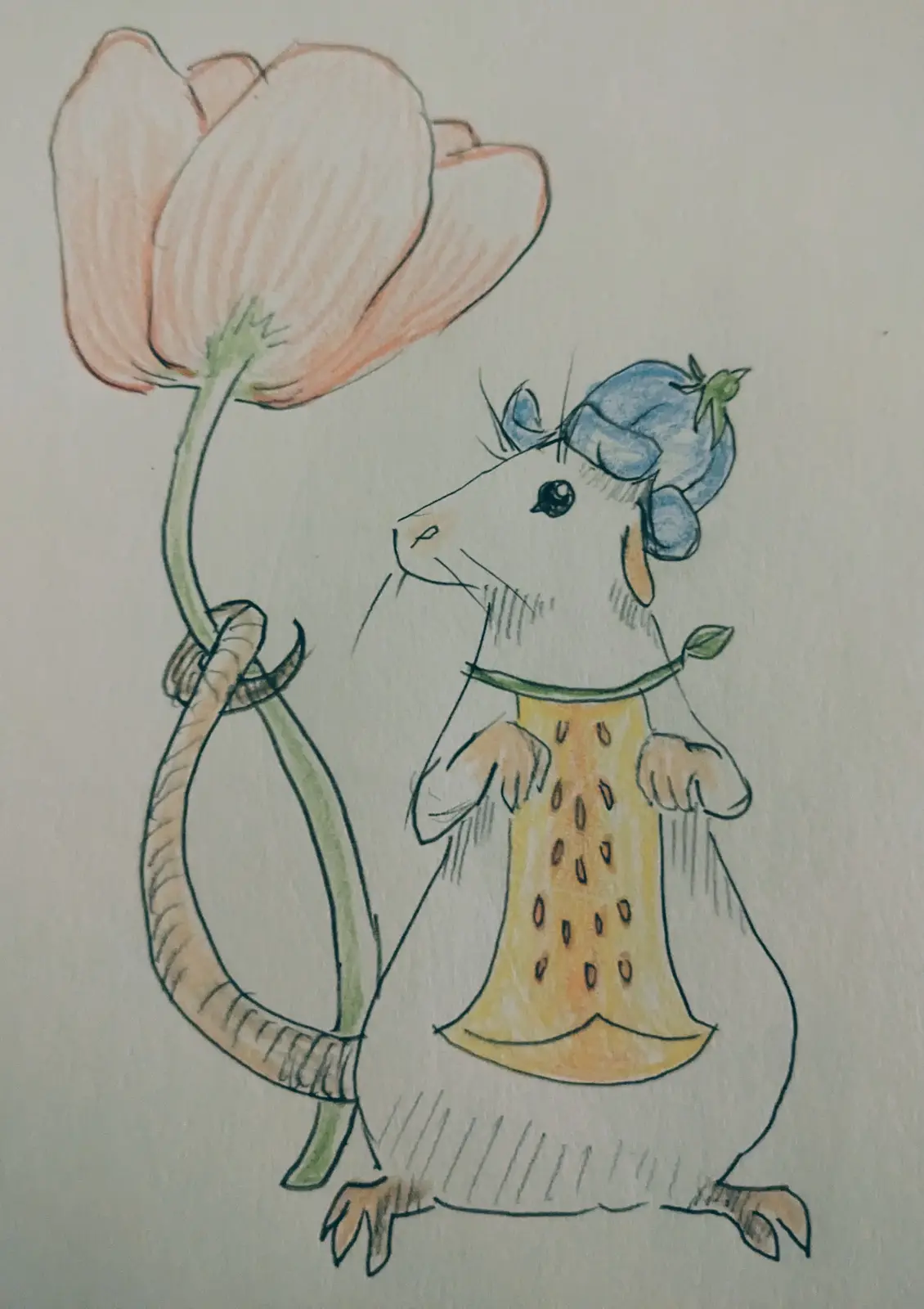 A hand-drawn illustration shows a cartoon mouse wearing a yellow dress with brown spots and a blue hat, holding a large pink…