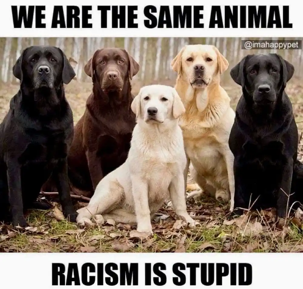 Dogs Truly Are Life's Best Companions