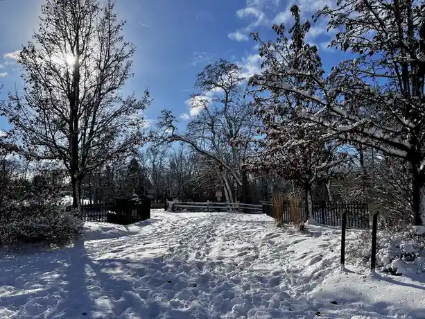 A snowy outdoor scene with bare trees covered in snow, a bright blue sky with sun glare, and a snow-covered path leading to…