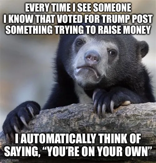 A black bear with a bored, unimpressed expression rests its paws on a log. White text overlaid in two blocks reads: "EVERY…