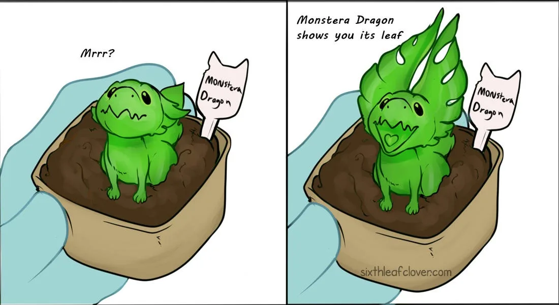 Two-panel comic shows a small green dragon-like creature in a pot of soil, labeled 'Monstera Dragon'. In the first panel, it…