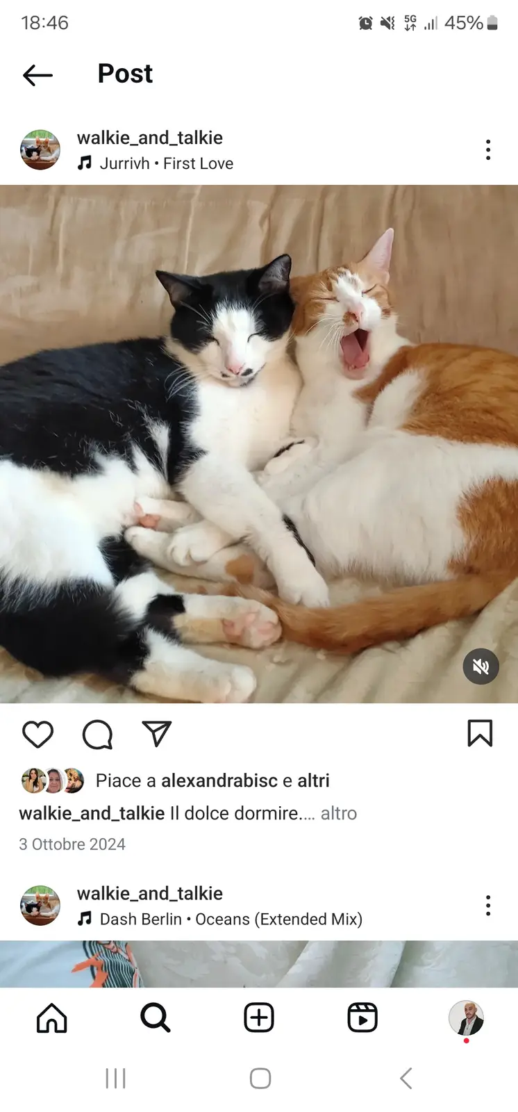 Two cats are curled up together on a bed, one black and white cat is sleeping peacefully with eyes closed, while the orange…
