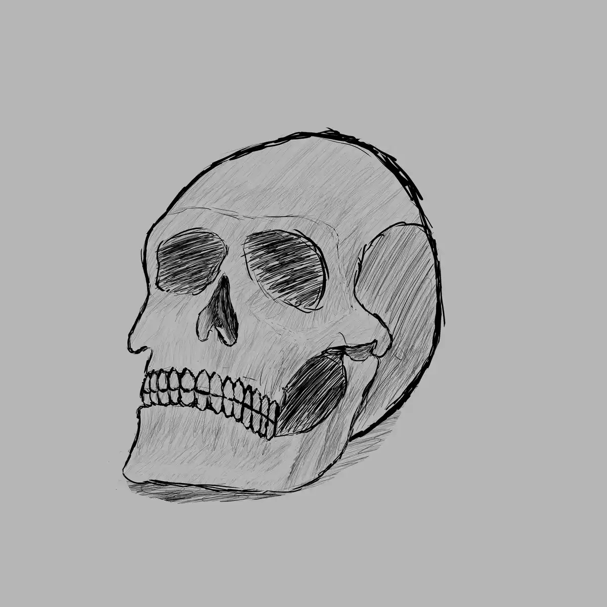 A hand-drawn black-and-white sketch of a human skull in profile against a plain gray background, with no overlaid text or…