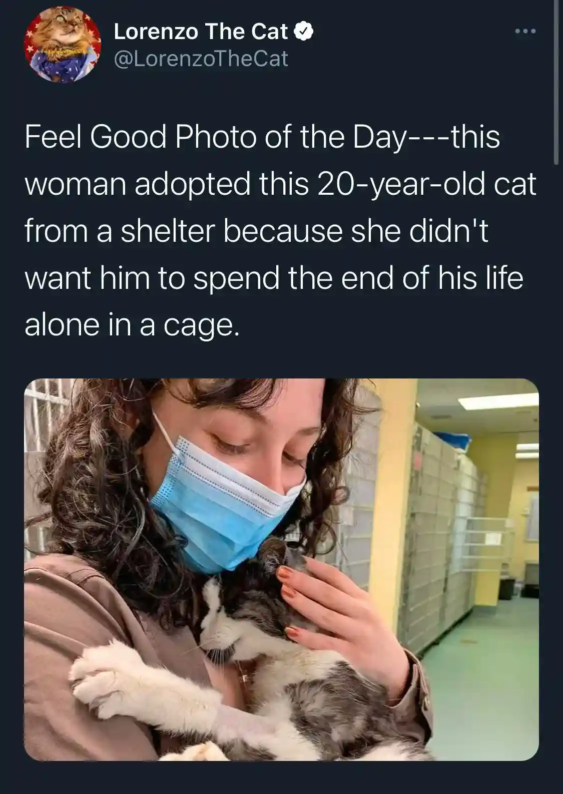 A Wholesome Start to Your Day