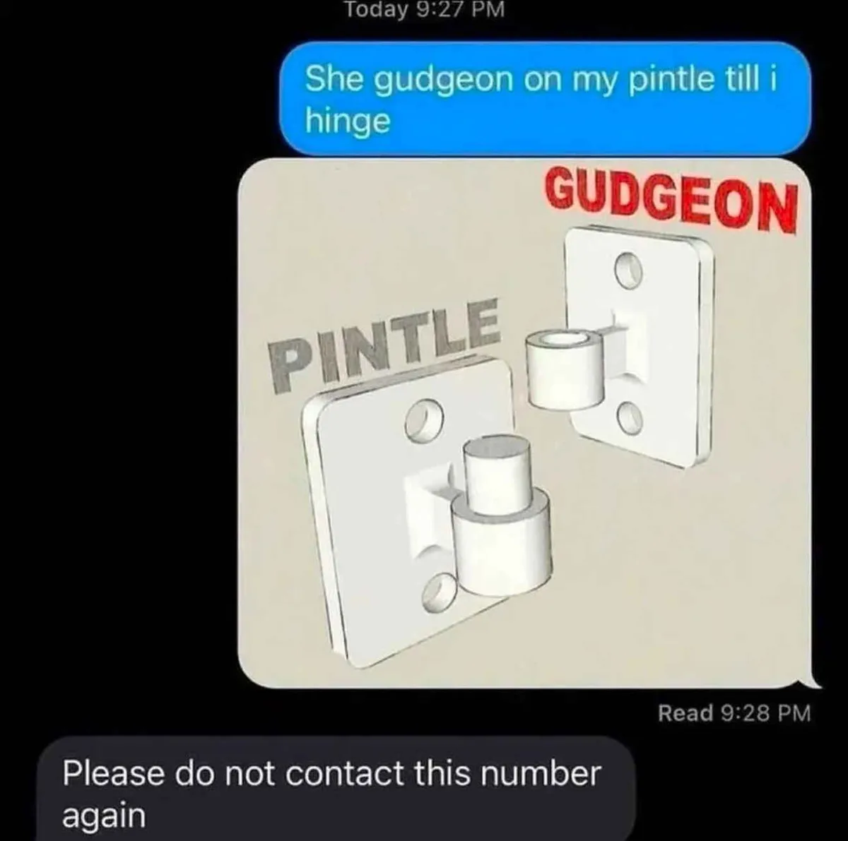 A screenshot of a text message conversation shows a blue message bubble with the text 'She gudgeon on my pintle till i…