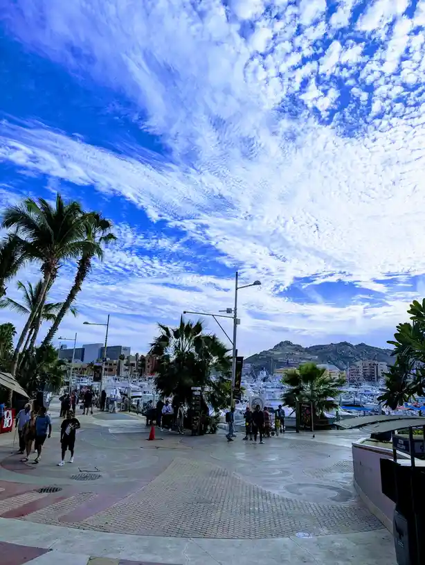 A vibrant photo of a sunny waterfront promenade with palm trees, boats in a marina, and people walking, overlaid with the…