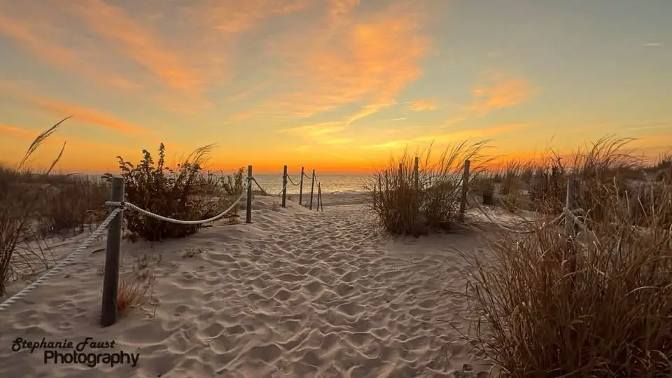 A serene beach sunset photo shows a sandy path leading to the ocean, flanked by tall grasses and rope railings, with warm…