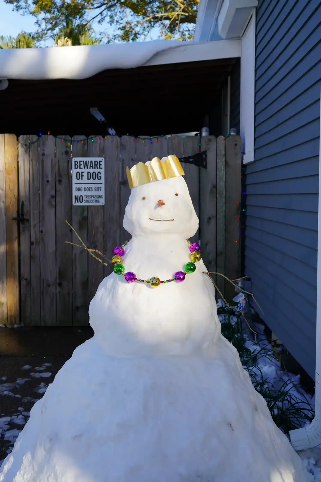 A snowman wearing a gold crown and a colorful Mardi Gras-style bead necklace stands in front of a wooden fence. Behind the…
