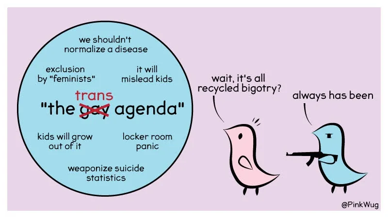 A cartoon shows two birds reacting to a large blue circle labeled 'the gay agenda' with 'trans' crossed out in red. Inside…