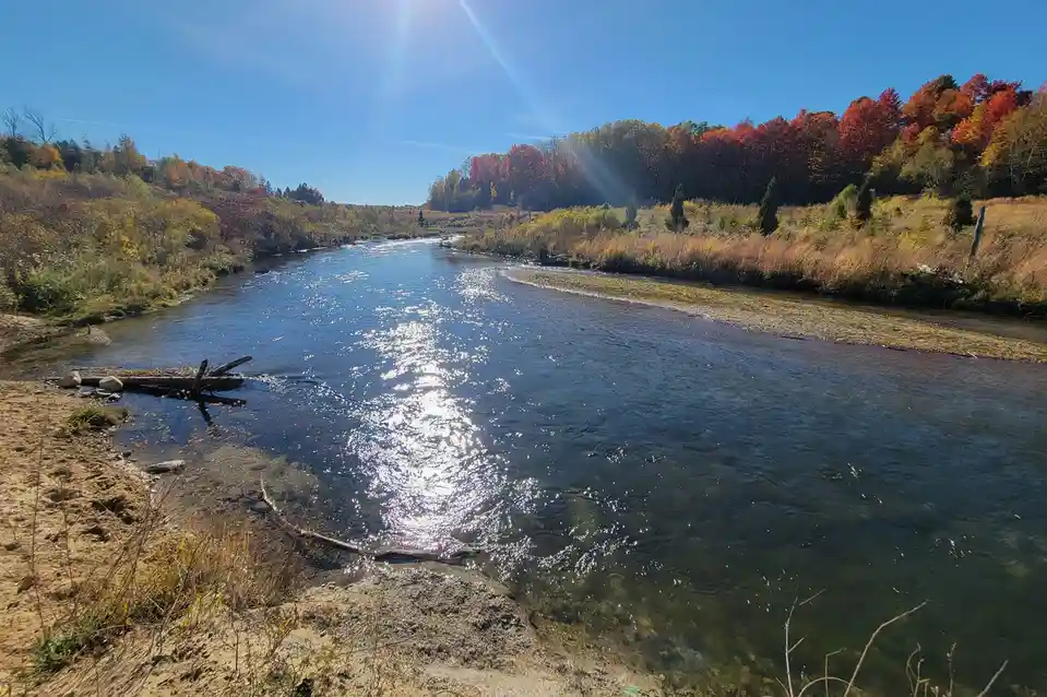 A scenic autumn river flows under a bright sun, with vibrant red and orange foliage lining the banks. The water reflects…