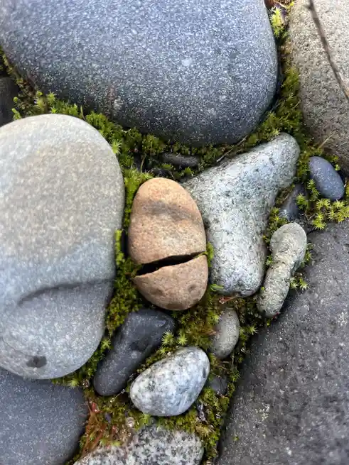 A close-up photo of various smooth, rounded stones nestled in green moss, with one central stone split cleanly in half…