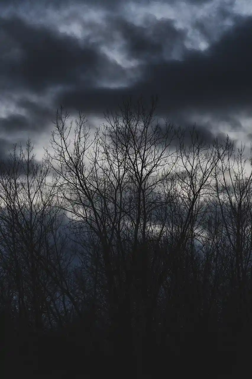 The Gloomy January Sky Over Michigan