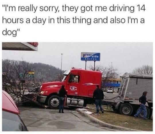 A red semi-truck is parked at a gas station with its front end damaged, having collided with a tree. Several people are…