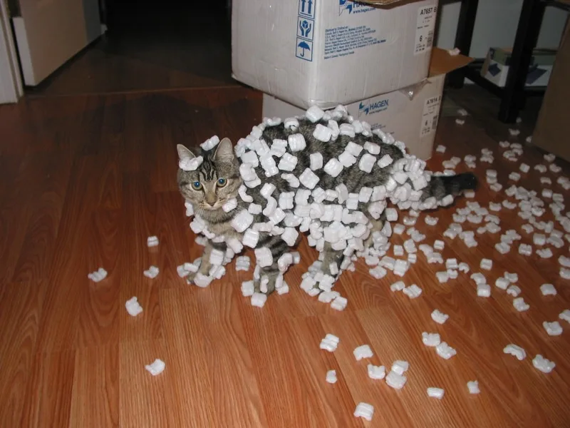 A tabby cat stands on a wooden floor, its body and tail completely covered in white, cube-shaped packing peanuts, with more…