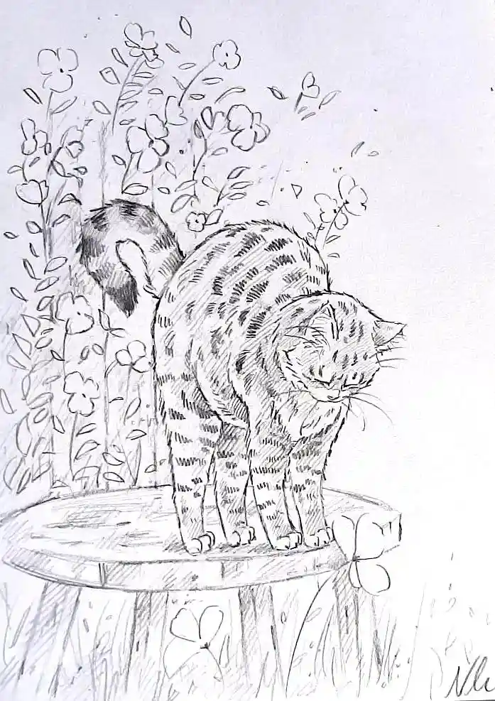 A pencil sketch of a tabby cat standing on a tree stump, surrounded by flowers and foliage, with its eyes closed and head…