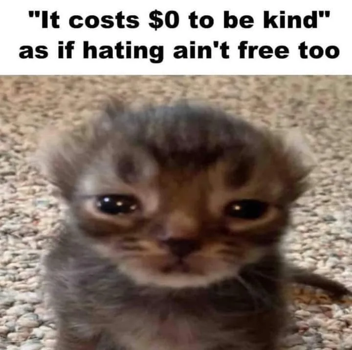A blurry close-up of a small tabby kitten with large, soulful eyes looking directly at the camera, sitting on a textured…