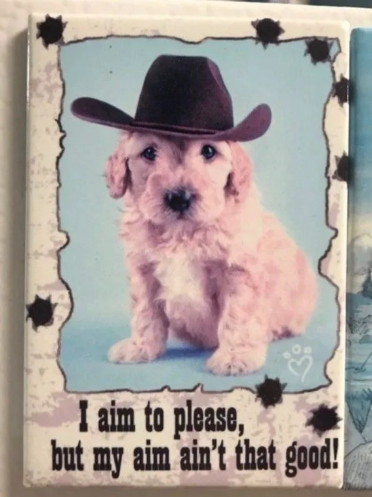 A small, fluffy, light-colored puppy wearing a brown cowboy hat sits against a light blue background on a decorative magnet…