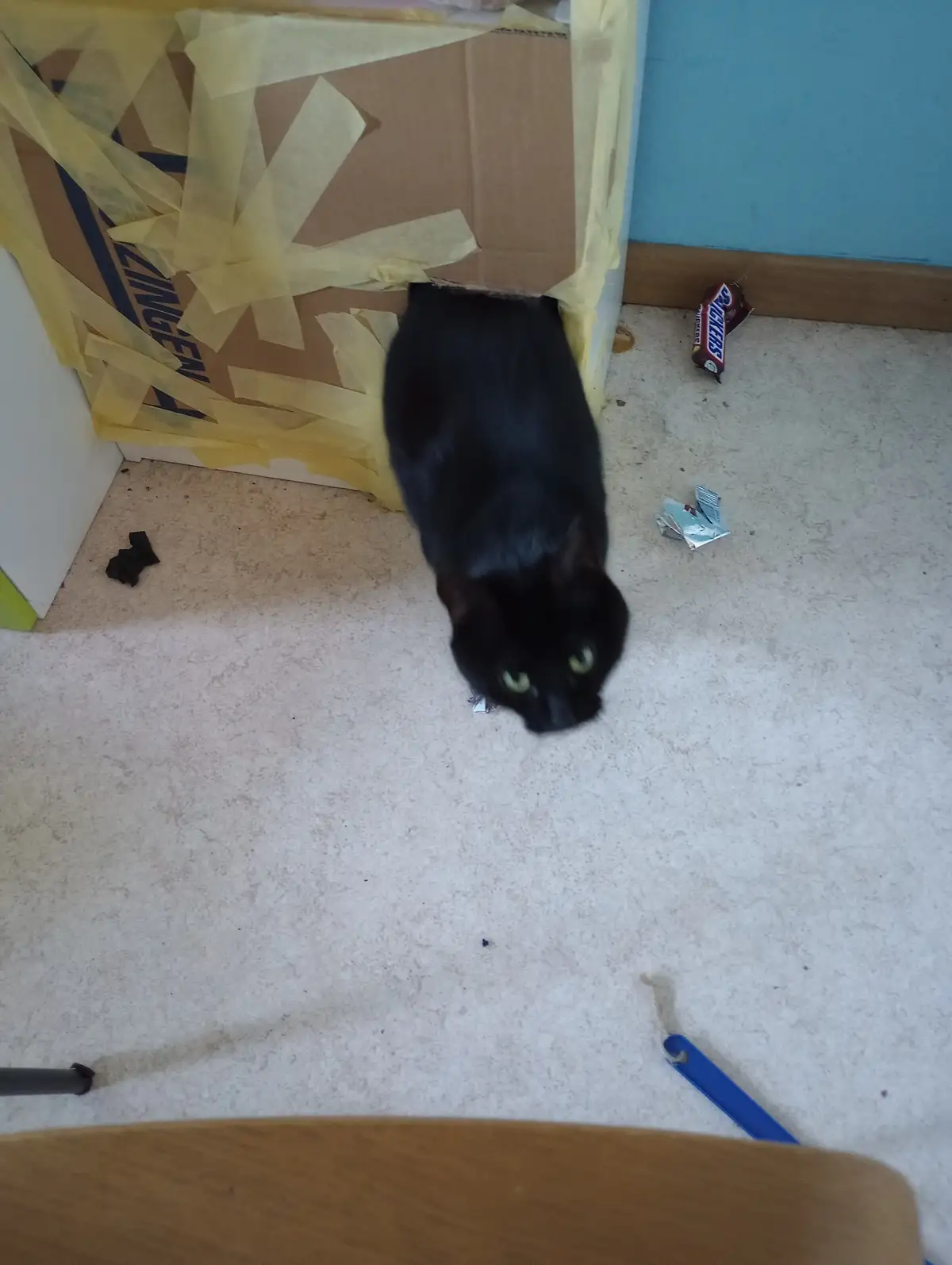 A black cat with glowing green eyes is partially inside a cardboard box taped shut with yellow painter's tape, looking up at…