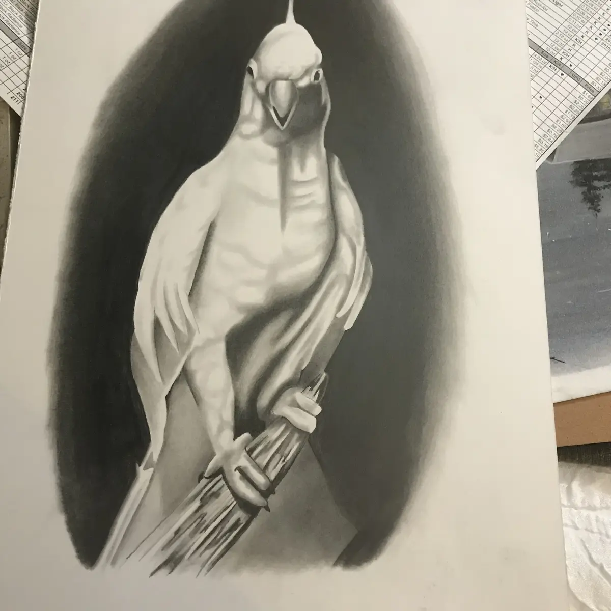 A detailed black-and-white pencil drawing of a white cockatoo with a prominent crest, rendered with realistic shading and…