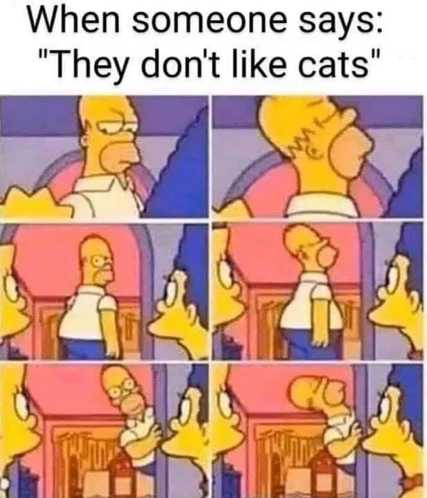 A six-panel comic strip from The Simpsons shows Homer Simpson reacting with increasing disbelief and indignation to the…