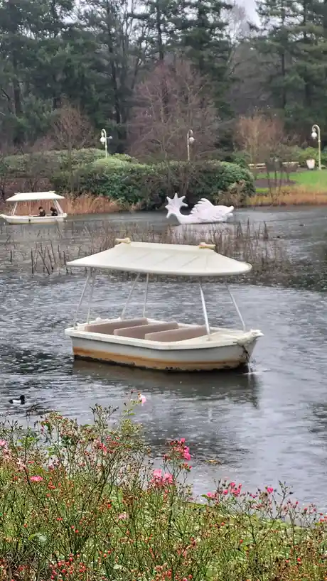 A photo of a frozen pond with two white paddle boats, one in the foreground and one in the background with two people in it…