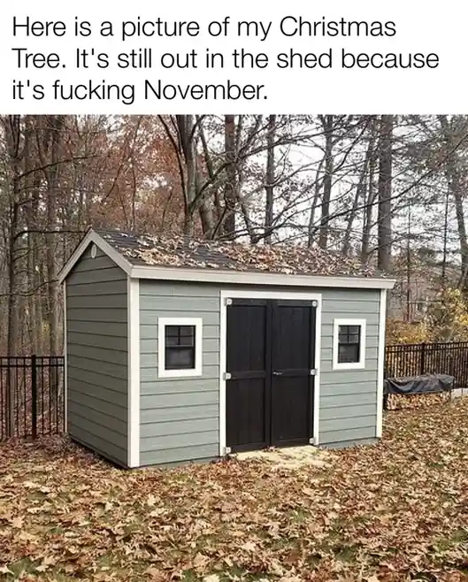 An outdoor shed with gray siding and black doors, surrounded by fallen autumn leaves, is humorously labeled as the…