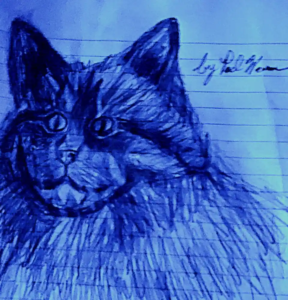 Meet the Beautiful Puss Puss!