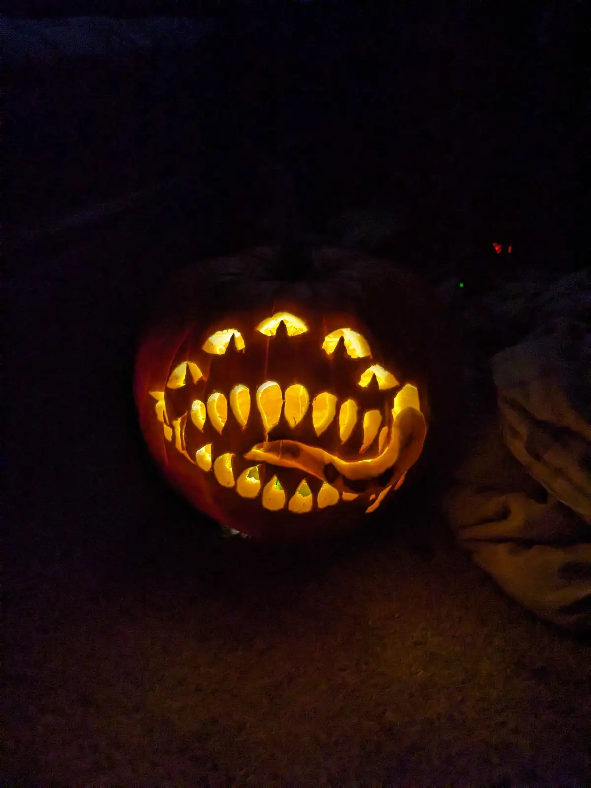 The Pumpkin That Perfectly Mimics Its Surroundings