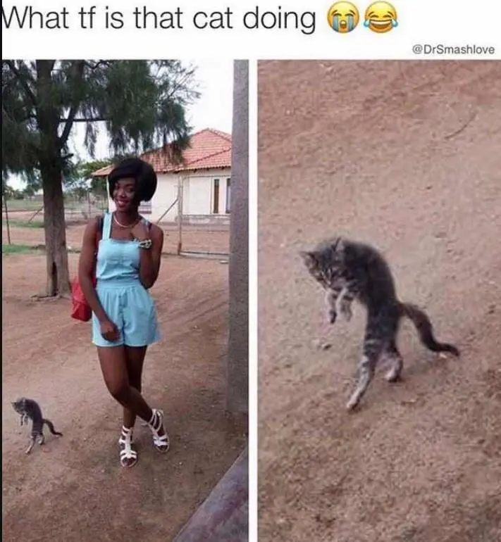 The image is split into two panels. The left panel shows a woman in a light blue romper and white sandals standing outdoors…