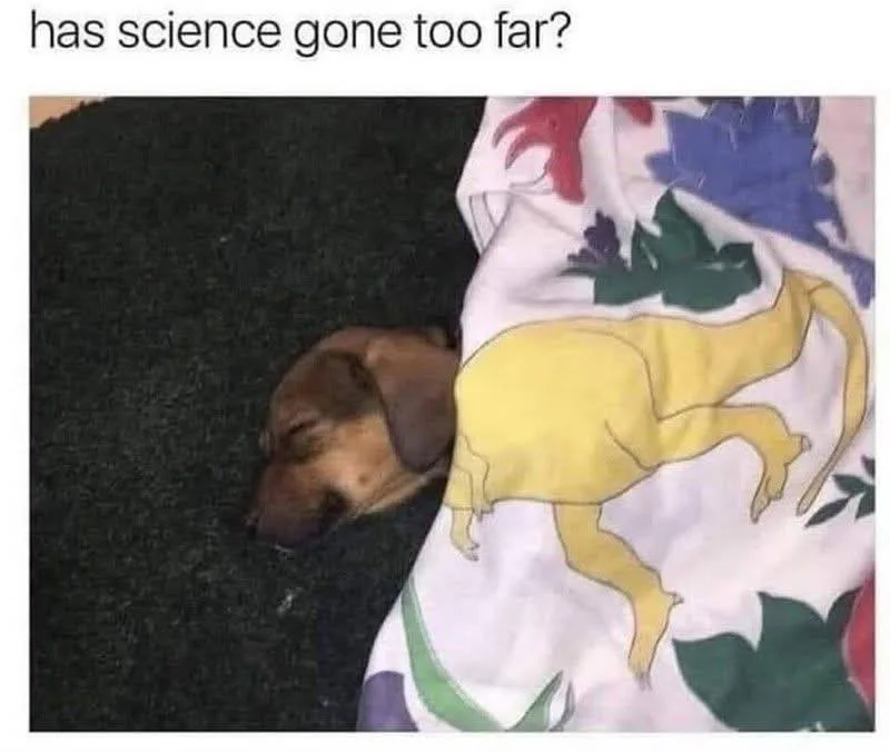 A small brown dog is sleeping on a dark carpet, partially covered by a white blanket with a yellow dog silhouette and…