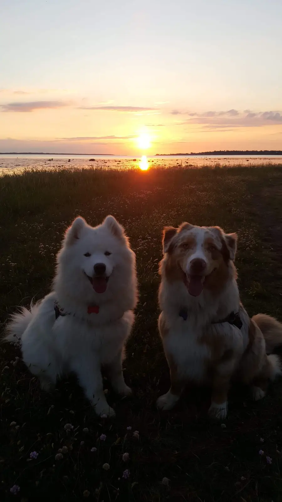 The Dynamic Duo: Khione and Atlas
