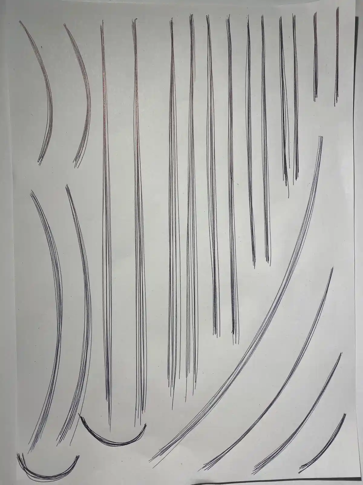 A white paper displays numerous dark, hand-drawn lines resembling strands of hair, arranged in various curved and straight…