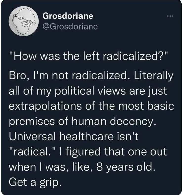 The Concept of Radicalization Explored