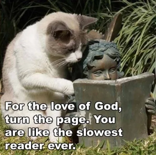 A fluffy white and gray cat is leaning over a bronze garden statue of a person holding an open book, appearing to read it…