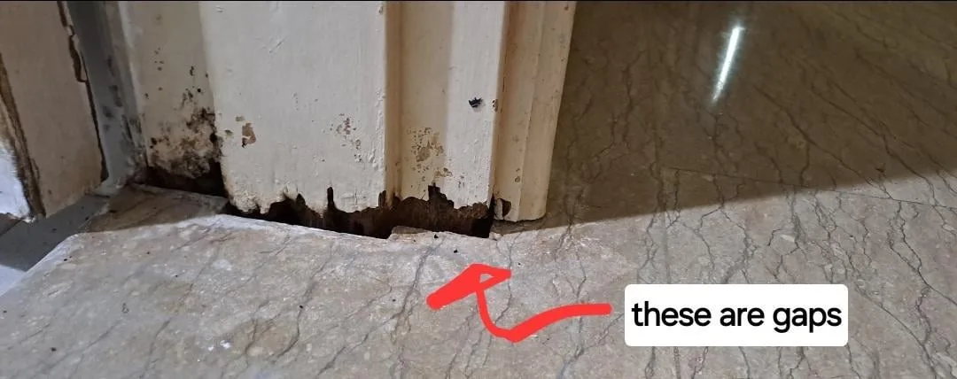 The Aftermath of Moisture Damage