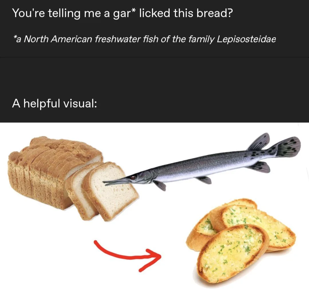 An image shows a loaf of plain white bread with a few slices cut, next to a long, slender gar fish with a pointed snout…