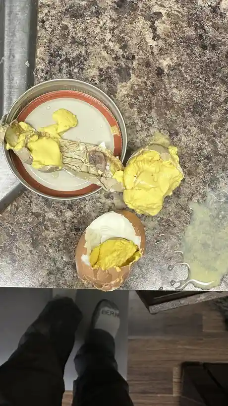 A top-down photo shows a cracked-open egg on a countertop next to a plate with egg yolk and a small dark object resembling a…