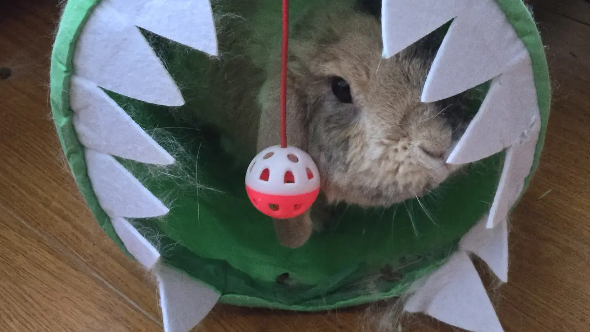 A fluffy brown rabbit is nestled inside a green, felt dragon-shaped toy with white triangular teeth. A red string hangs down…