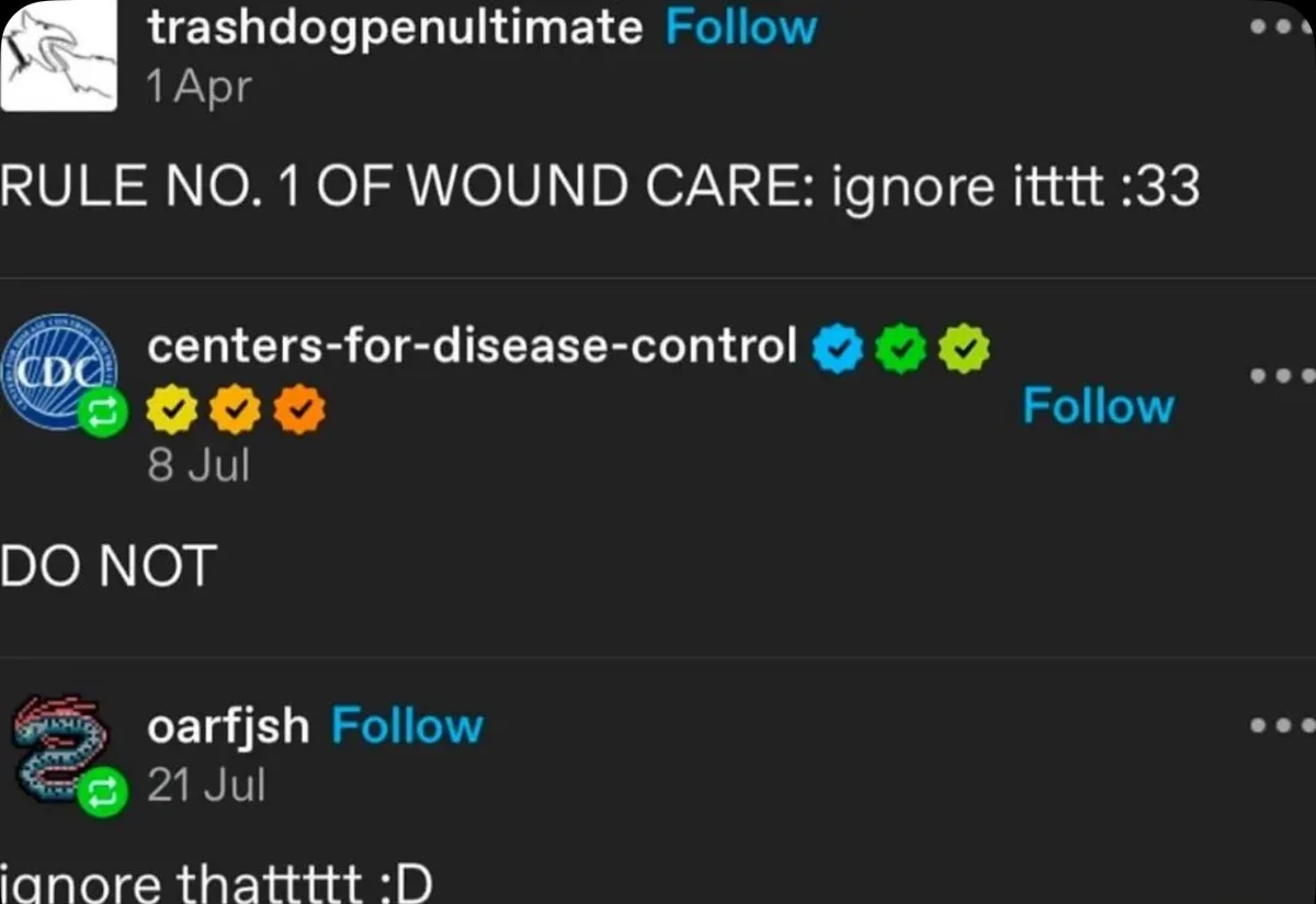 A screenshot of three social media posts in a dark theme. The top post from 'trashdogpenultimate' says 'RULE NO. 1 OF WOUND…