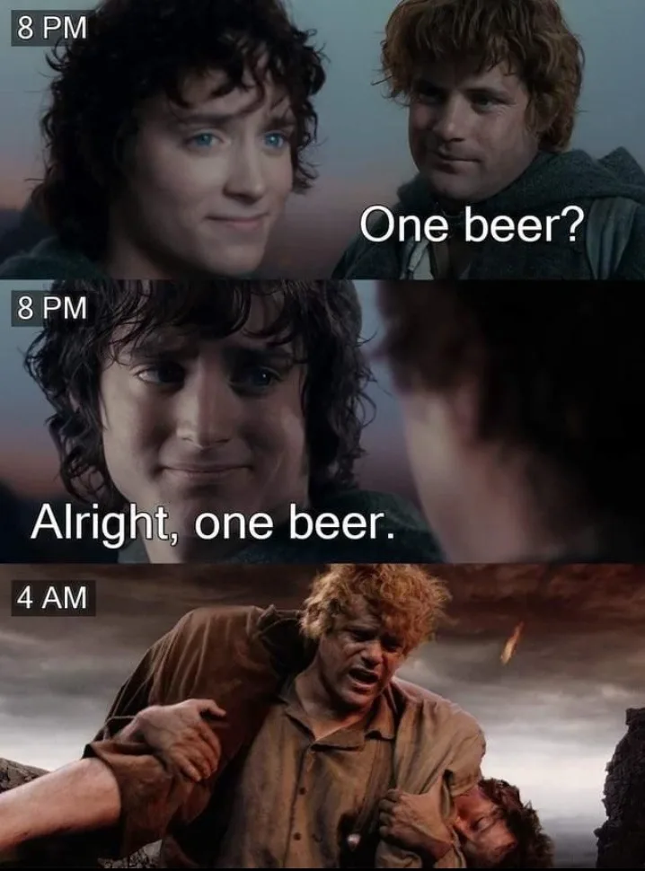 A three-panel meme from 'The Lord of the Rings' showing Frodo and Sam. Top panel: Sam asks Frodo 'One beer?' at 8 PM. Middle…