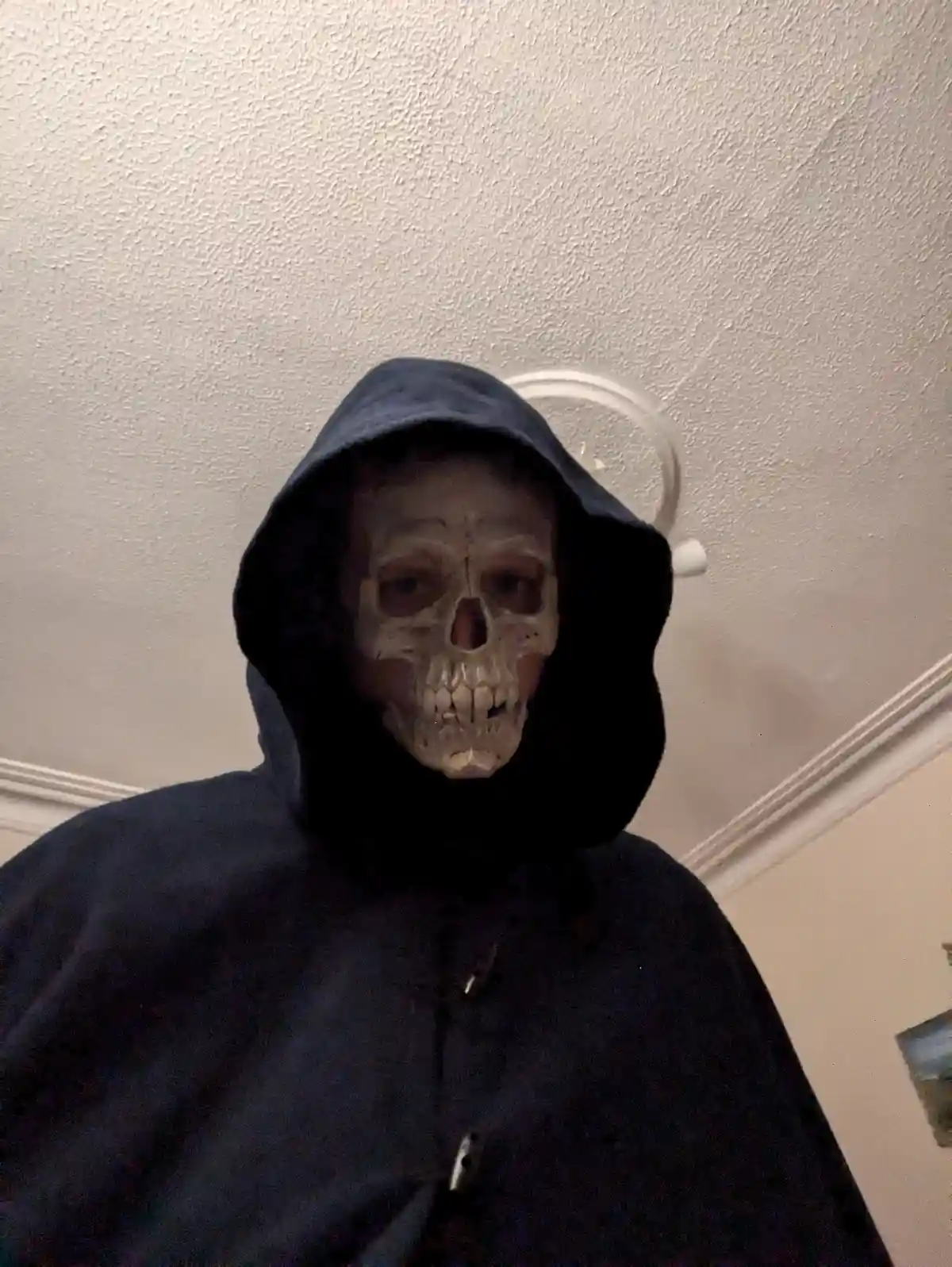 A person wearing a dark hooded robe and a realistic skull mask stares directly at the camera indoors. The background shows a…