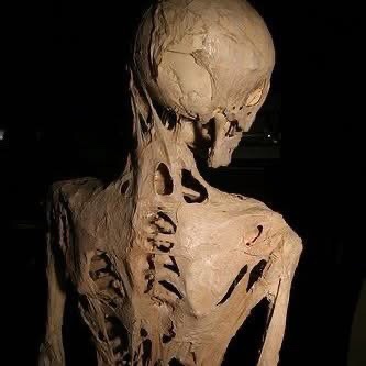 A preserved human mummy with visible skeletal structure and desiccated skin stands against a dark background. Overlaid text…