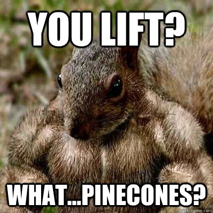 A close-up photo of a squirrel with exaggeratedly muscular arms, looking confused. Large white text at the top reads 'YOU…
