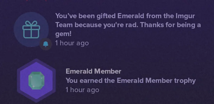 A screenshot of two Imgur notification banners on a dark purple background. The top banner shows a gift icon and text…