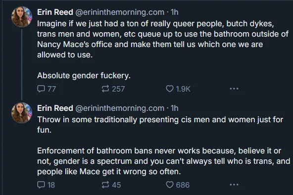 A screenshot of two tweets from Erin Reed, criticizing Nancy Mace's bathroom policies. The first tweet imagines a scenario…