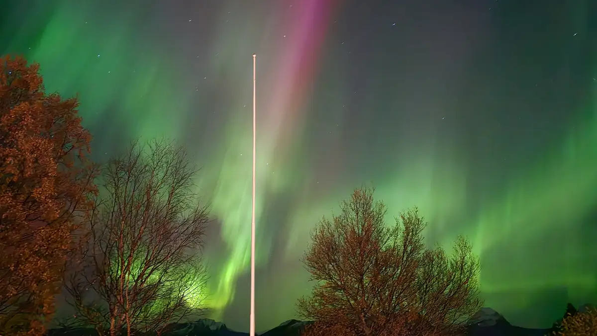 A tall, empty flagpole stands at half-mast against a vibrant green and pink aurora borealis, with bare and autumnal trees…